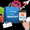 Professional OpenCart Development For Online Retail Success