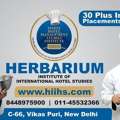 Best Hotel Management Institute In Delhi - HIIHS