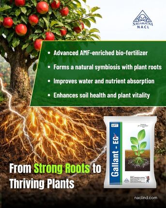 Hyderabad, Farm & Garden, INR 500,  Innovative Insecticide Company For Crop Care | NACL Industries
