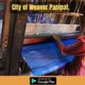 Panipat City Life: Living In The City Of Weavers