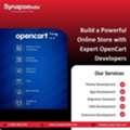 Build A Powerful Online Store With Expert OpenCart Developers
