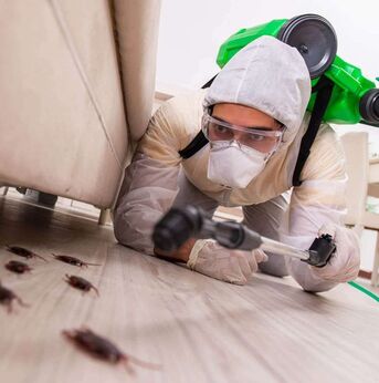 Al Khobar Al Shamalia, Cleaning, ✅✅✅ PEST CONTROL & HOME CLEANING - KHOBAR SAME DAY SERVICE ✅ 057 007 6842 ✅
