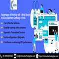 Advantages Of Working With A Web Design And Development Company In India