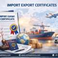 Why Import Export Certificates Matter | Exim Advisory