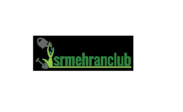 New York, Business, GPL Themes Download | Premium WordPress Themes &ndash; SR Mehran Club