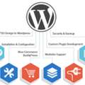 WordPress Development Solutions Built For Flexible Business Growth