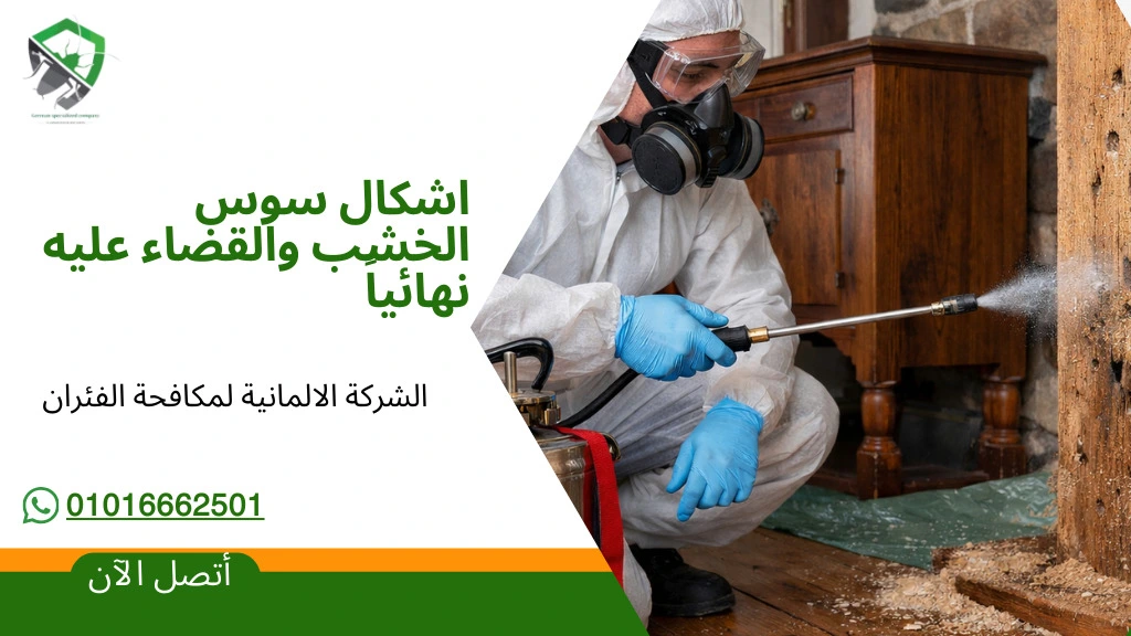 Nasr City, Pest Control, ابادة حشرات | مكافحة بق الفراش | مكافحة الابر