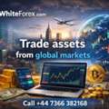 Zero Investment Trading In Saint Lucia | Forex Trading Platform