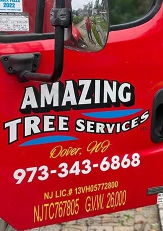 New York, Business, Tree Service Estimate In North NJ &ndash; Amazing Tree Services