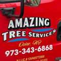 Tree Service Estimate In North NJ &ndash; Amazing Tree Services