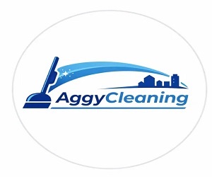 New York, Business, Aggy Cleaning Services | Royersford, Collegeville & Phoenixville PA