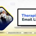 Acquire  A Verified Therapist Email List Business Contacts For Your Campaigns