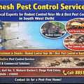 Mahesh Pest Control Services &ndash; Your Local Experts For Rodent Control Near Me & Best Pest C