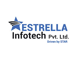 Lucknow, Web Design & Development, Estrella Infotech Pvt. Ltd.: Leading Digital Marketing Agency In Lucknow