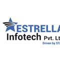 Estrella Infotech Pvt. Ltd.: Leading Digital Marketing Agency In Lucknow
