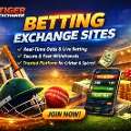 Trusted Betting Exchange Sites With Fast Access