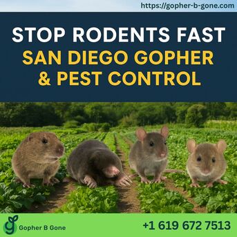 San Diego, Farm/Garden, San Diego Gopher & Rodent Control &ndash; Trusted Since 1991