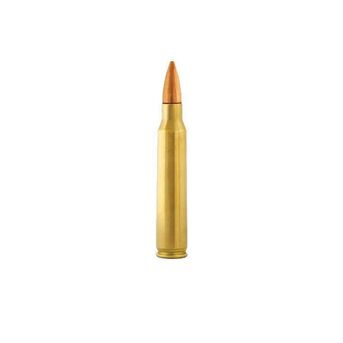 New York, Business, Shop .223 Remington 55gr FMJ Ammo &ndash; 50 Rounds | Brass Kisses
