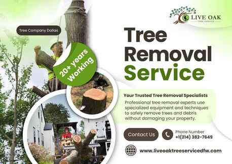 Dallas, Farm/Garden, Safe & Professional Tree Removal Service Dallas Near You