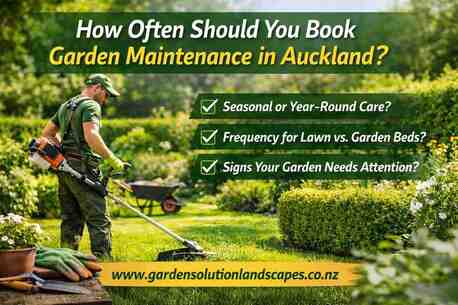 Auckland, Farm/Garden, How Often Should You Book Garden Maintenance In Auckland?