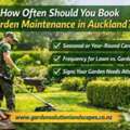 How Often Should You Book Garden Maintenance In Auckland?