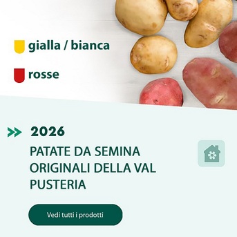 Bologna, Farm & Garden, Agritura &ndash; Patate Da Seme Selezionate E Calce Per Un Orto Forte E Produttivo