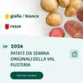 Agritura &ndash; Patate Da Seme Selezionate E Calce Per Un Orto Forte E Produttivo