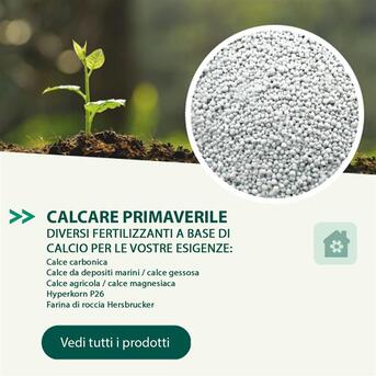 Bologna, Farm & Garden, Agritura &ndash; Patate Da Seme Selezionate E Calce Per Un Orto Forte E Produttivo