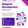Expert Magento Development Services For Online Success