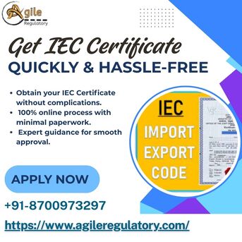 Noida, Legal, Apply For IEC Code Online At Best Price
