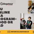 LPU ONLINE BCA PROGRAM-GOOD OR BADLovely Professional University( LPU) Is One Of The Larg