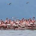 Gujarat Wildlife Sanctuary | Kutch Gujarat Tours