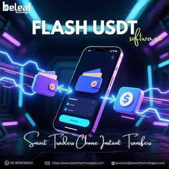 New Delhi, Software Development, Smart Traders Choose Flash USDT Software For Instant Transfers
