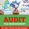 Audit Tax Management