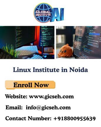 Noida, Lessons Offered, Searching For Top Linux Institute In Noida Today?