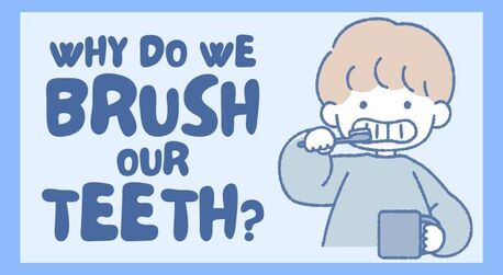 New Delhi, Dental, Why Do We Brush Our Teeth?