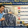 Why CleanHive Is The Most Trusted Budget-Friendly Dry Cleaning In Sector 49