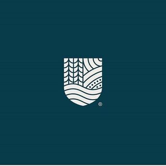 Chennai, Graphic Design, Best Brochure Design Chennai