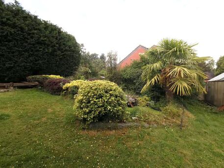 Sydney, Farm/Garden, What Are The Best Tips For Effective Garden Maintenance?