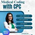 Looking For The Best CPC Training Institutes In Hyderabad? Your Search Ends Here!