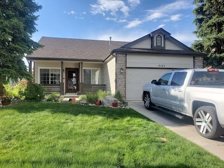 New York, Printing, Romanelli Painting