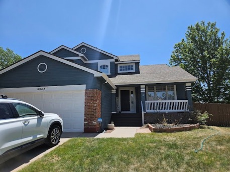 New York, Printing, Romanelli Painting