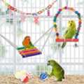 Pet Bird Toys Collection | Parrot Bird Toys & Bird Foraging Toys