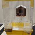 SAR 40,  Empty Cages For Birds (20SR Each)