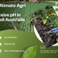 Raise PH In Soil Australia