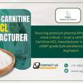 Quality Assured Acetyl L-Carnitine HCL Manufacturer India