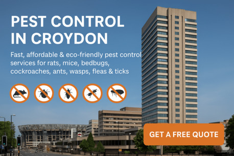 London, Pest Control, Wasp Nest Removal Croydon &ndash; Expert Wasp Control Services