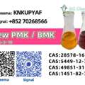 EUR 90,  In Stock 28578-16-7 BMK Powder/Oil CAS 5449-12-7