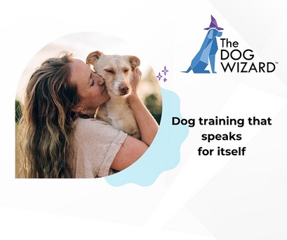 New York, Business, The Dog Wizard &ndash; Dog & Puppy Obedience Training Ashland