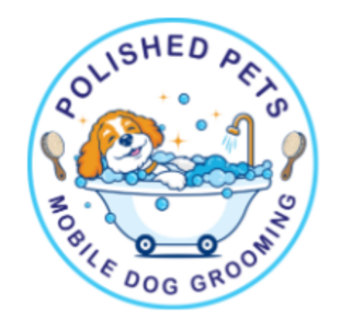 Dallas, Pet Sitting, Polished Pets Mobile Dog Grooming